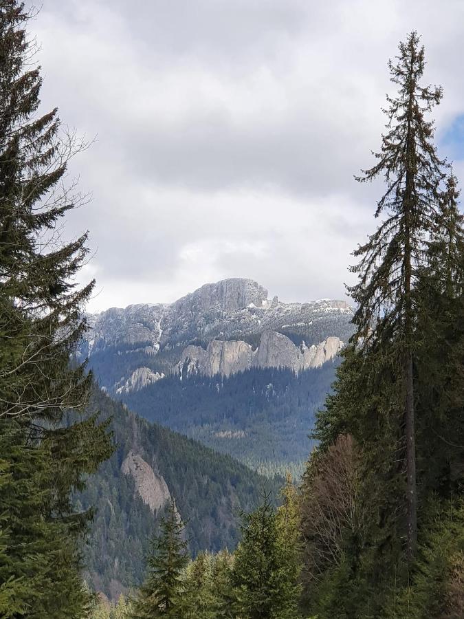 Apart Hotel Center Piatra Neamţ Eksteriør billede